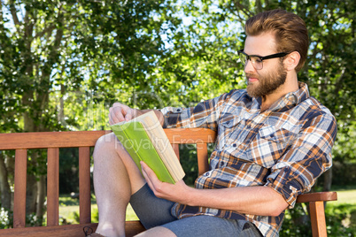 Handsome hipster reading in the park
