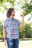 Young man touching leaf on tree