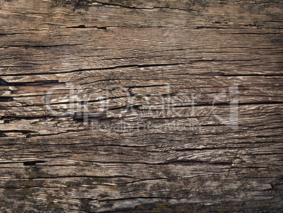 texture of old wood in the style of grunge as background