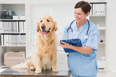 Vet examining a dog and writing on clipboard