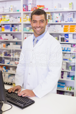 Pharmacist using the computer