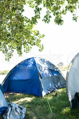 Blue tents at festival site