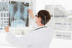 Veterinarian looking at x-ray