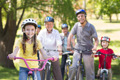 Happy family on their bike at the park