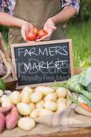 Farmer selling organic veg at market