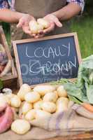 Farmer selling organic veg at market