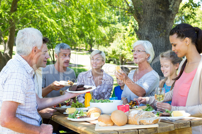 Happy family having picnic in the park