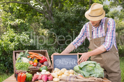 Farmer selling organic veg at market