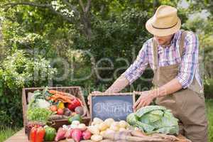 Farmer selling organic veg at market