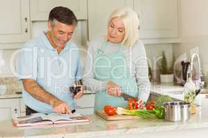 Happy mature couple having red wine while making dinner