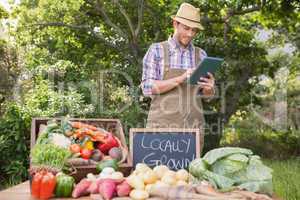 Farmer selling organic veg at market