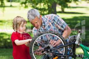 Father and his son fixing a bike