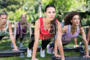 Fitness group using steps in park