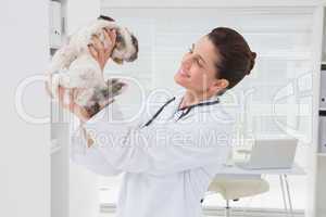 Smiling veterinarian holding a rabbit