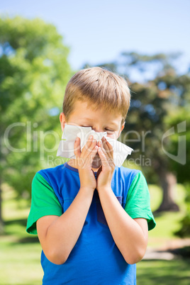 Little boy blowing his nose