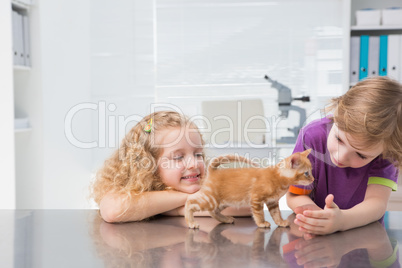 Smiling owners petting their cat