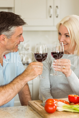 Happy mature couple having red wine while making dinner