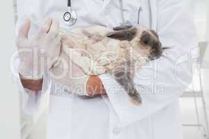 Veterinarian doing injection at a rabbit