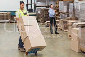 Warehouse worker moving boxes on trolley