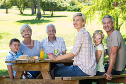 Happy family having picnic in the park