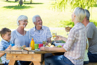 Happy family having picnic in the park