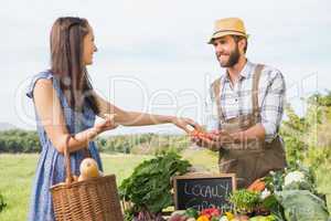 Farmer selling his organic produce