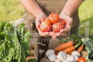 Farmer showing his organic tomatoes