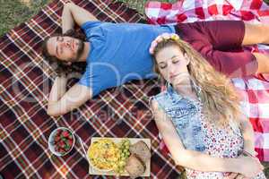 Cute couple having a picnic