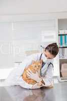 Veterinarian with surgical mask examining a cat