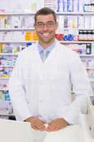 Handsome pharmacist using the computer