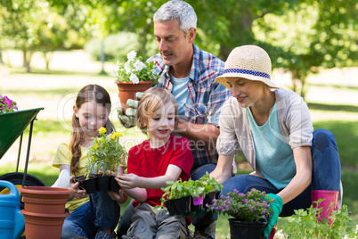 Happy family gardening