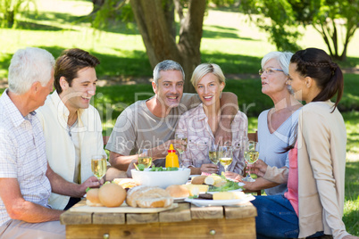 Happy family having picnic in the park