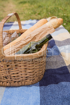 Picnic of wine and baguettes