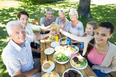 Happy family toasting in the park