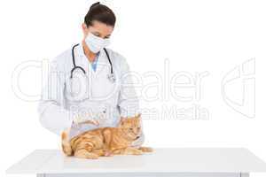Veterinarian with surgical mask examining a cat