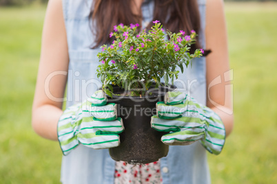 Happy woman holding potted flowers