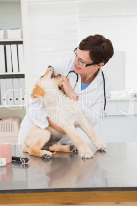 Veterinarian examining a cute dog