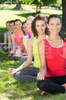 Fitness group doing yoga in park