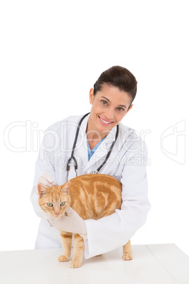 Veterinarian examining a cat