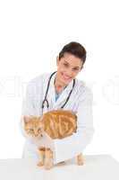 Veterinarian examining a cat