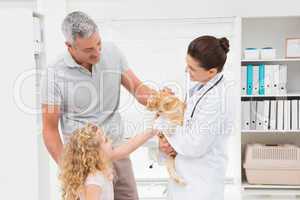 Veterinarian holding cat with its owners