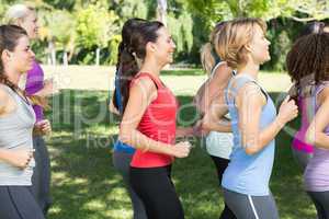 Fitness group jogging in the park
