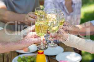 Happy family toasting in the park