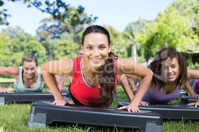 Fitness group using steps in park