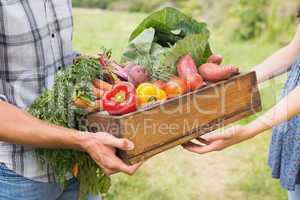 Farmer giving box of veg to customer