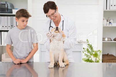 Smiling vet examining a dog with its owner Smiling vet examining a dog with its owner