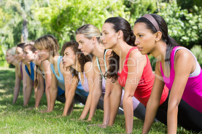 Fitness group planking in park