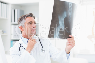 Doctor analyzing x-ray in clinic