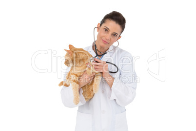 Veterinarian examining a cat with stethoscope