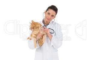 Veterinarian examining a cat with stethoscope